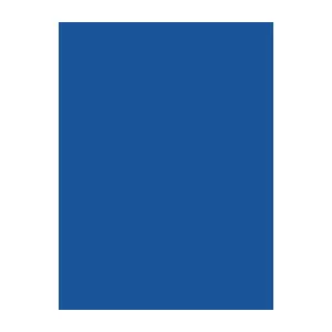 Embroidery Thread Brother Madeira 1076 Royal Blue 1000 m spool