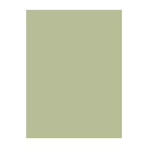 Sewing thread Brother Madeira viscose 1000 m, light green