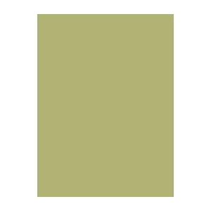 Sewing thread, Brother / Madeira 1102 green, 1000 m spool