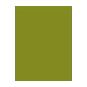 Sewing thread Brother Madeira 1140 green 1000 m spool