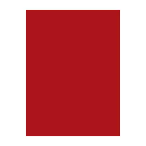Sewing thread Brother Madeira 1147 red 1000m – Brother branded polyester thread, 1000 m spool