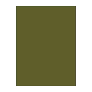 Embroidery Thread Brother Madeira 1157 Viscose Moss Green 1000m