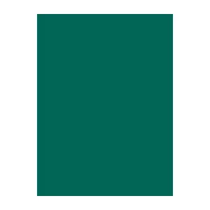 Šūšanas diegs Brother viskoze Madeira 1185 Dark Sea Green 1000 m