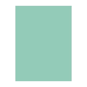 Embroidery Thread Brother Madeira 9111195 1000 m mint-green viscose