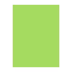 Sewing Thread Brother Madeira 1248 Green 1000 m – cotton/polyester embroidery and sewing thread