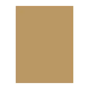 Thread spool Brother Madeira 1255 sand color 1000 m – sewing/embroidery thread