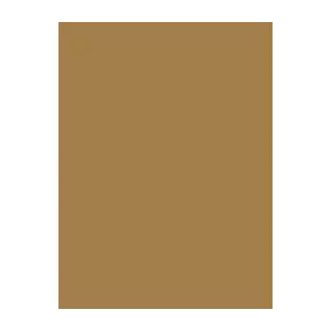 Thread reel Brother Madeira 1256 caramel color 1000 m – sewing and embroidery polyester thread