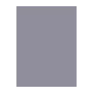 Šujamā diega Brother Madeira 9111264 viskoze 1000 m ķiršu krāsa
