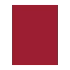 Šujamā diega Brother 1281 ruby red, poliesters, 1000 m spolē