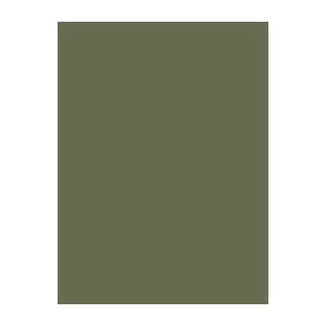 Sewing thread Brother Madeira 1306 Light Olive Green 1000 m by Brother