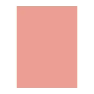 Sewing thread spool Brother Madeira 1317 pink 1000 m