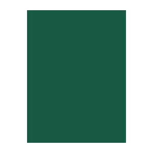 Thread spool, Brother Madeira Viscose 1371 Dark Jade Green, 1000 m