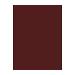 Sewing Thread Brother Madeira 1374 Brown 1000 m spool