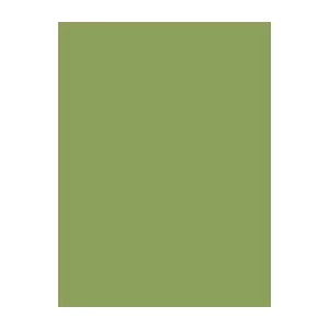 Sewing Thread Brother Madeira 1451 Green 1000 m – Polyester embroidery and sewing thread