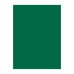 Sewing Thread Brother Madeira 1480 Green 1000 m