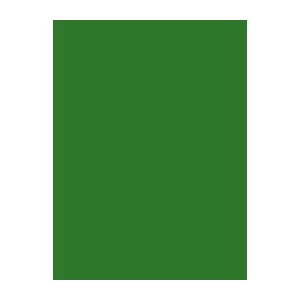 Sewing thread Brother Madeira viscose 1000 m — Emerald Green