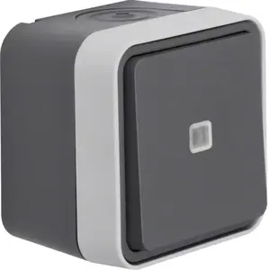 Light switch berker 30763525 — grey, buttons, blue LED, 250V 10A