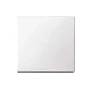 Light switch Merten 432119, thermoplastic housing, white, button control