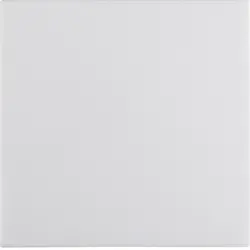 Electrical switch accessory Berker 16208989, white duroplast, pack of 10