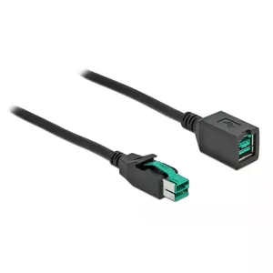 Powered USB extension cable DeLOCK 85981 12 V 2 m