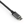 StarTech USB-C мультипортовый видеоадаптер CDP2DPHD Photo 3