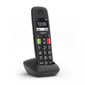 Analogais/DECT telefons Gigaset E290HX