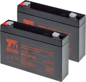 Rechargeable Battery Kit t6 power RBC18 T6APC0024 12V 18Ah for UPS systems