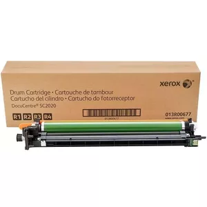 Printer Drum Original Xerox 013R00677