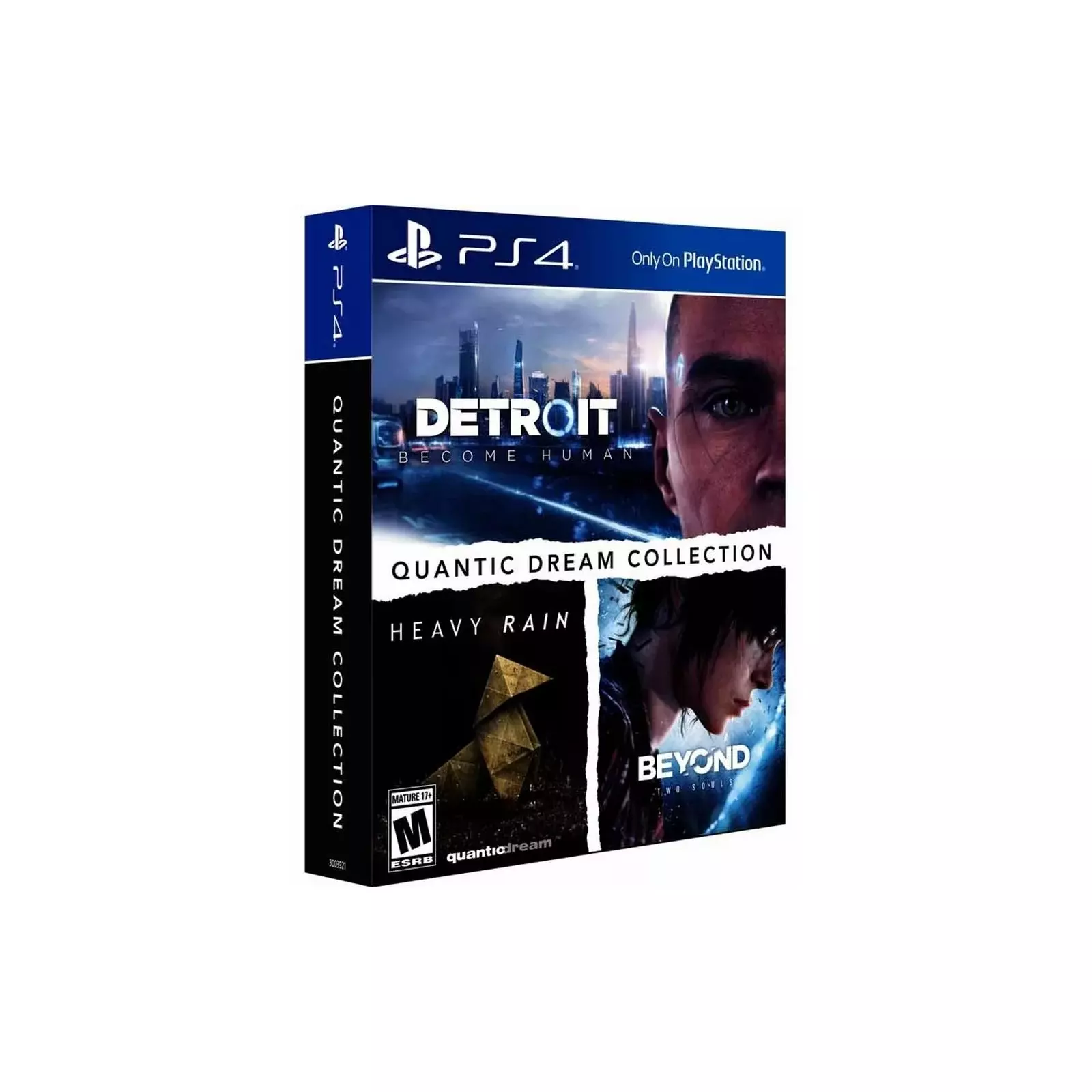 Quantic 2024 dream collection