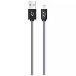 USB data cable ALIGATOR DAKA011 Lightning connector, 2 A charging, 2 m length, black