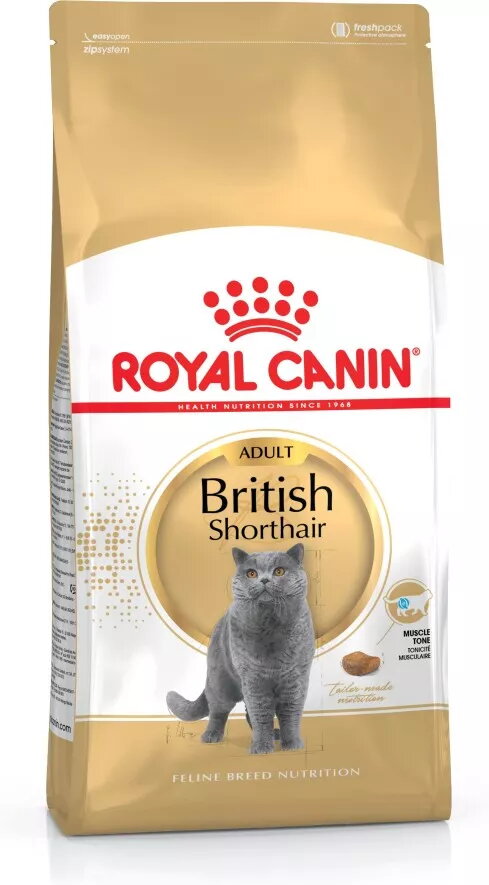 Sausais kaķu barība Royal Canin British