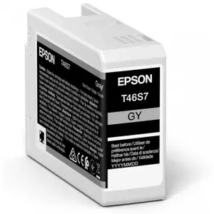 Картридж для принтера Epson UltraChrome Pro 10 T46S7 Grey оригинальный для совместимых Epson
