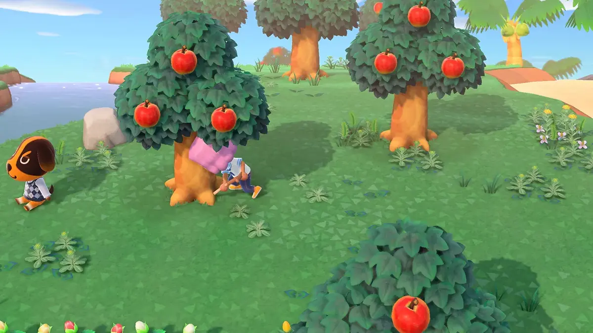 Игра Nintendo Animal Crossing: New Horizons Photo 14
