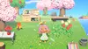 Nintendo Animal Crossing: New Horizons Switch Game Photo 12