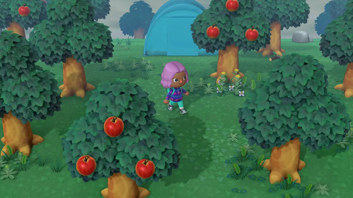 Nintendo Animal Crossing: New Horizons Switch Game Photo 15