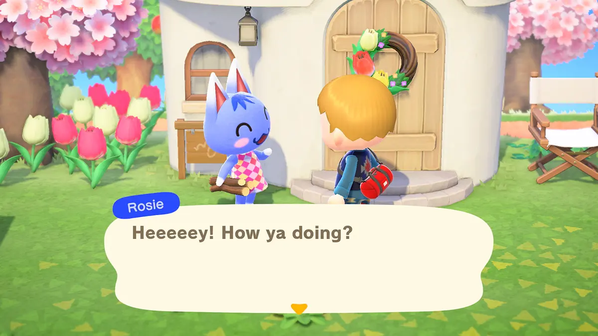 Nintendo Animal Crossing: New Horizons Switch Game Photo 20