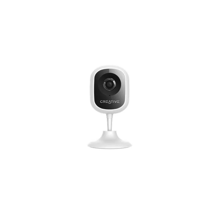 IP Cameras