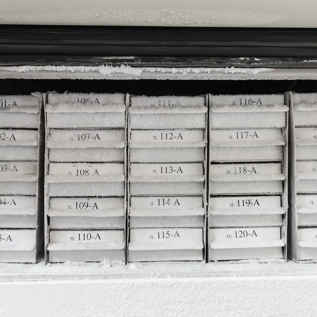 Brady M21-375-499-TB pašlīmējoša neilona etiķete Photo 3