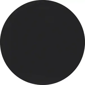Berker 16202045 Single Rocker for Light Switch, Black