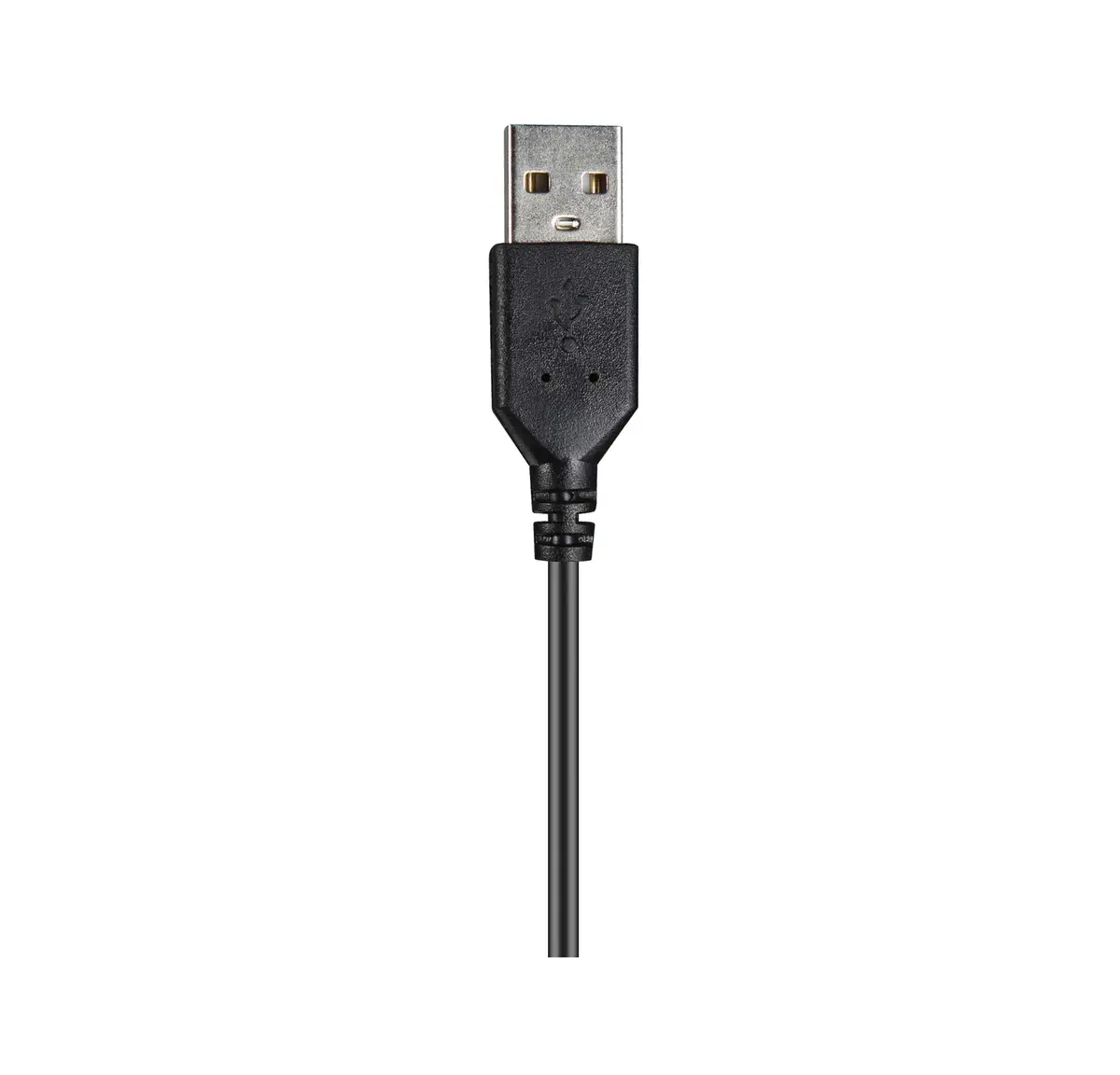 Austiņas Sandberg USB Chat Headset Photo 3