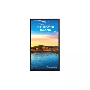 Цифровой рекламный дисплей LG 49XE4F-M 49" IPS 1920 x 1080