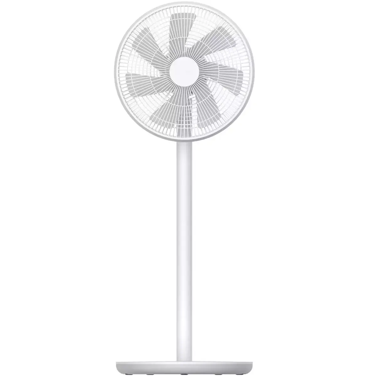 Fans