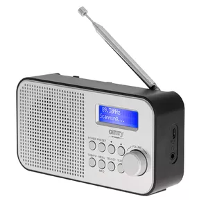 Portable Radio Camry Premium CR 1179