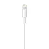 Lightning kabelis Apple MD818ZM/A Photo 4