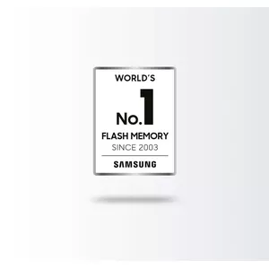 The worlds number one for flash memory
