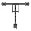 Desk Mount Dual Monitor Arm StarTech ARMSLMBARDUO Photo 3