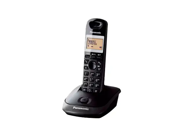 DECT телефон Panasonic KX-TG2511 Photo 2