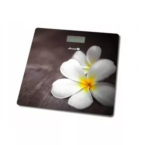 Łucznik BS-973 W14 Square Multicolour Electronic personal scale