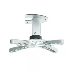 Ceiling Mount ART P-101