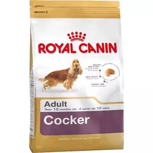 Dry Dog Food Royal Canin Cocker Adult 12 kg — Poultry, 25% Protein, 14% Fat